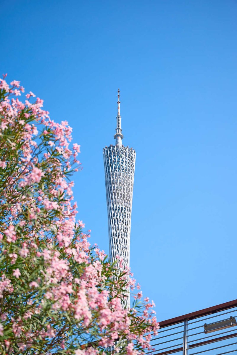 Fanyi🦋🌸 tweet media