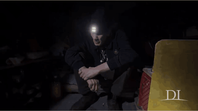 Denyse O'Leary tweet media