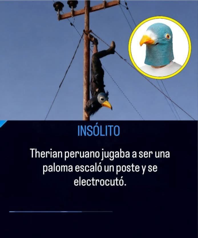 Emmanuel Rosario tweet media