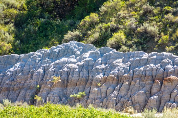 Debra Martz tweet media