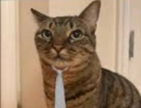 SKULLGOD tweet media