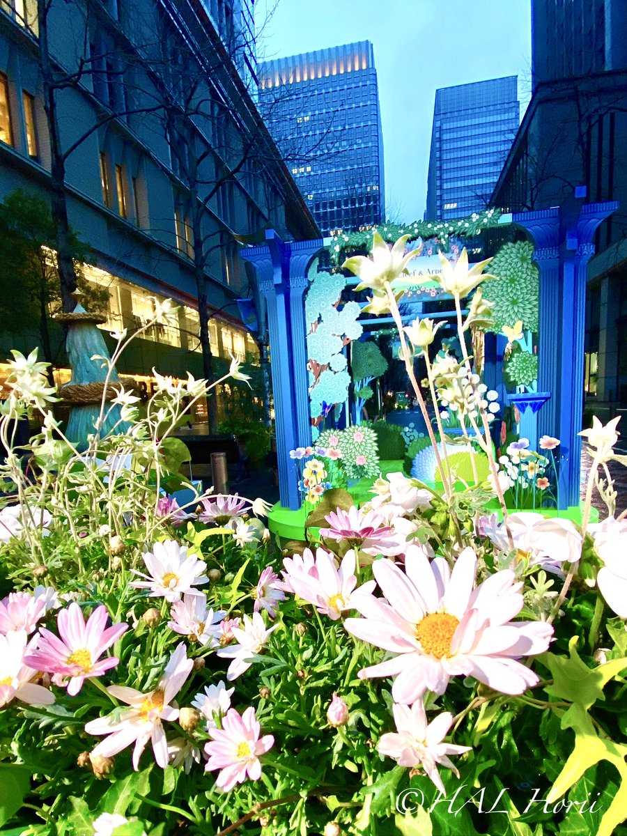 hal horii art💐 tweet media