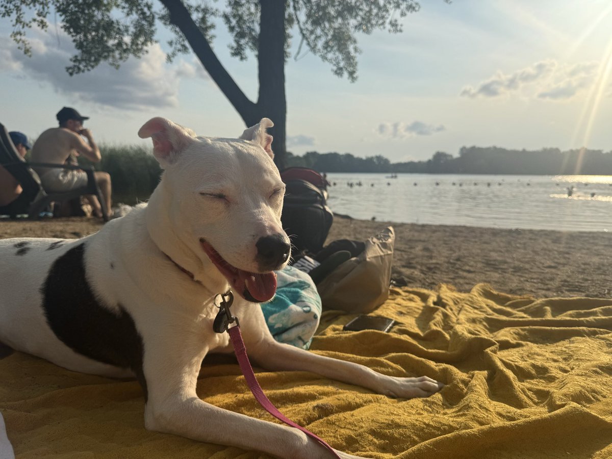 🎀Holly Evans🎀 on leave till April tweet media