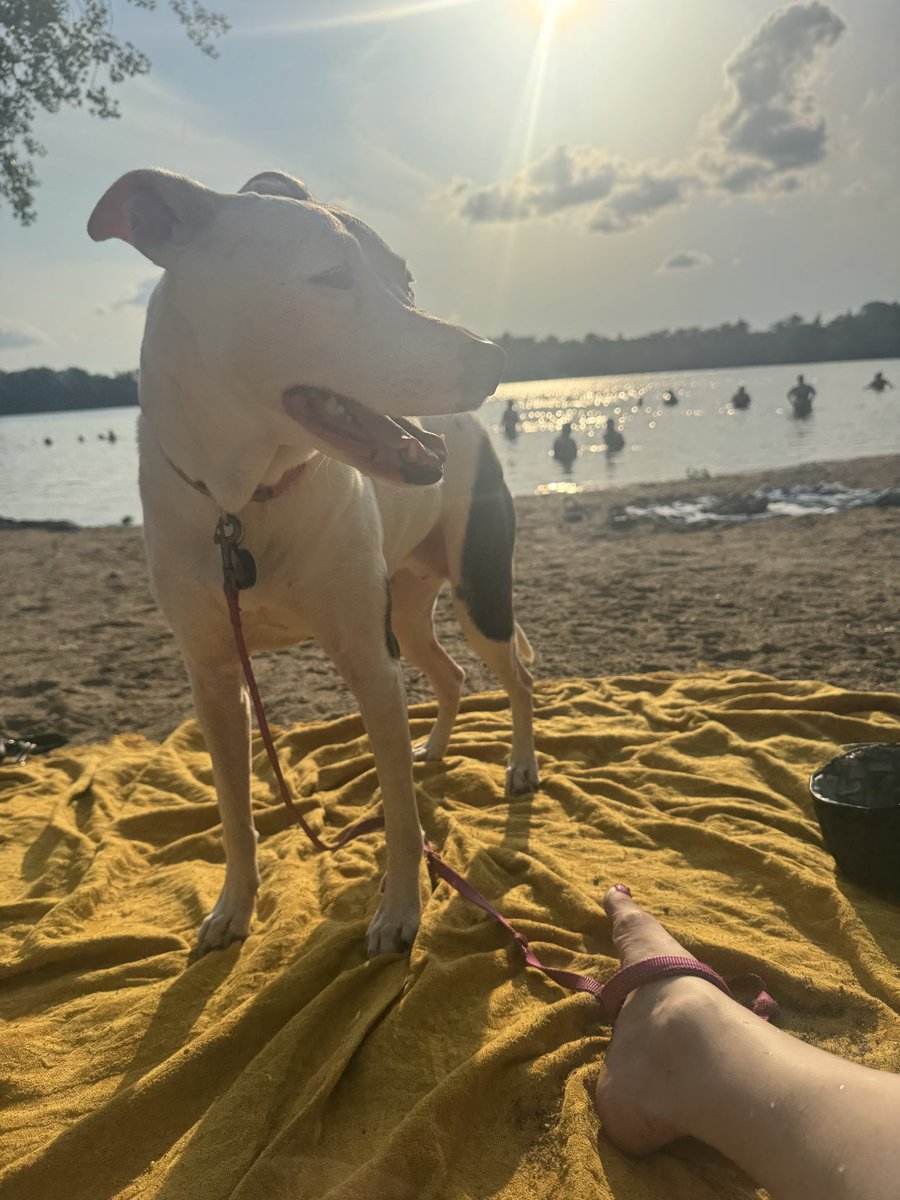 🎀Holly Evans🎀 on leave till April tweet media