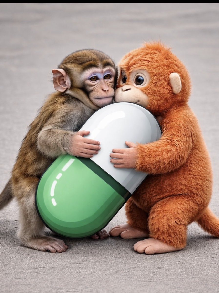 MoonRider tweet media