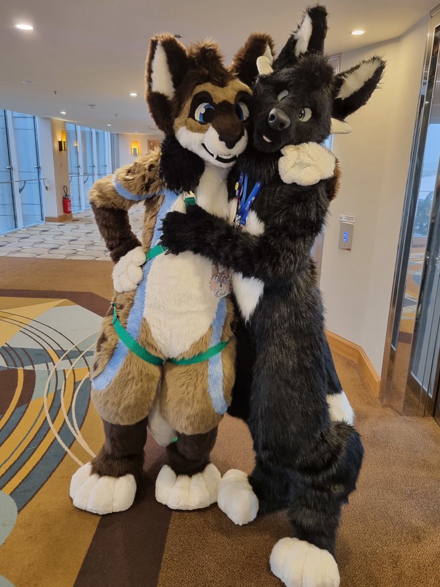 stevoclub tweet media