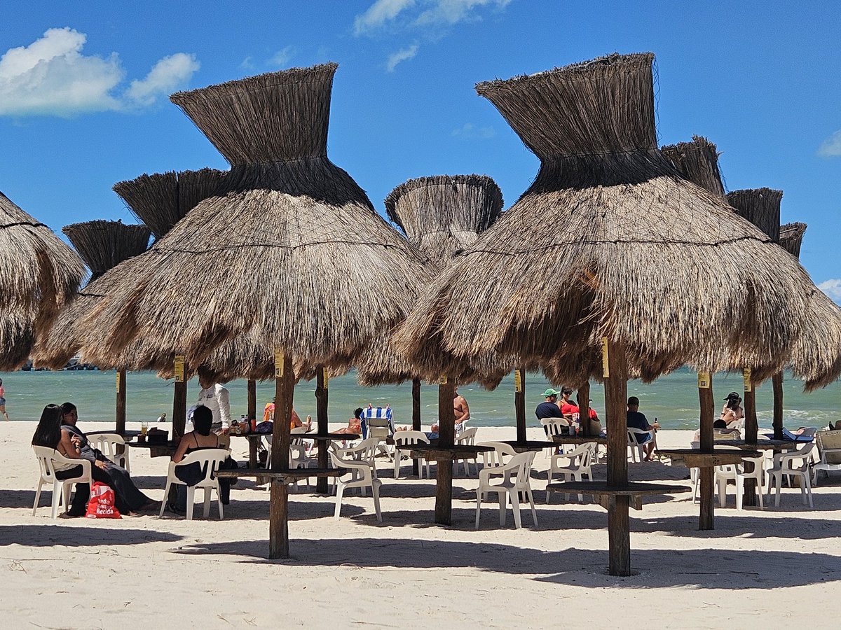 Esther Bartkiw tweet media