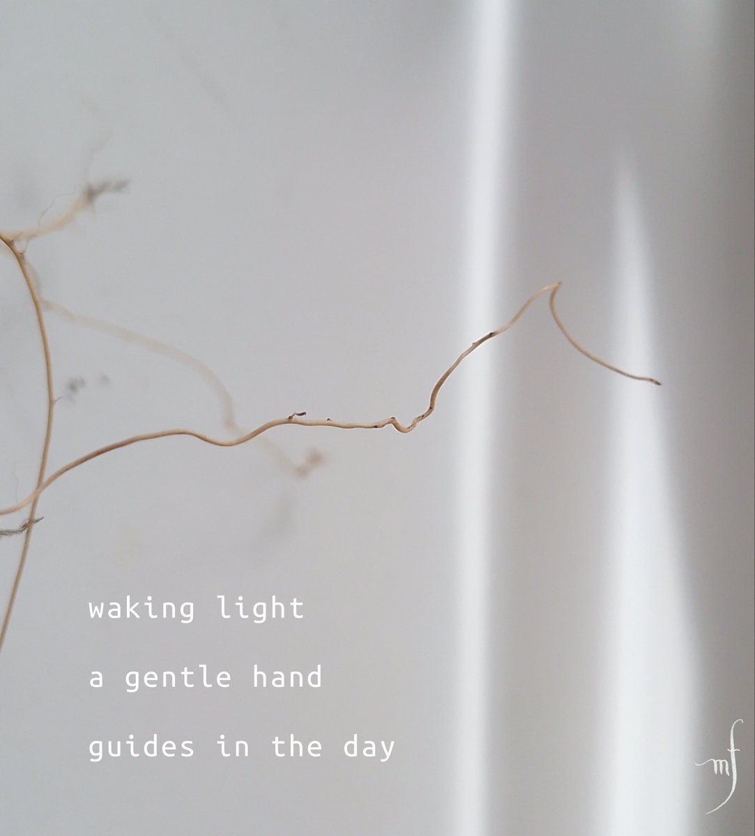 FreshOutMag tweet media