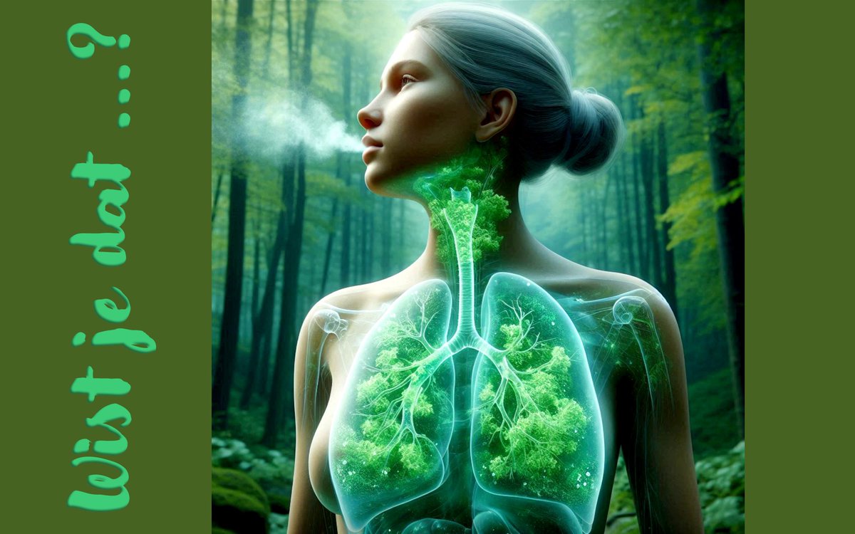 Filip Lardon tweet media