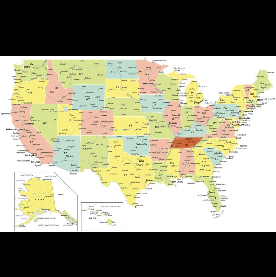 ShaiDolf Hitler-Alexander’s Daddy tweet media