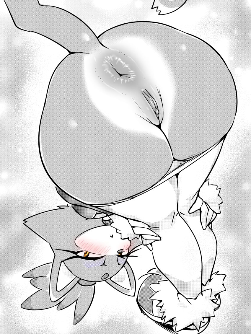 💜_blaze_the_cat 👑 tweet media