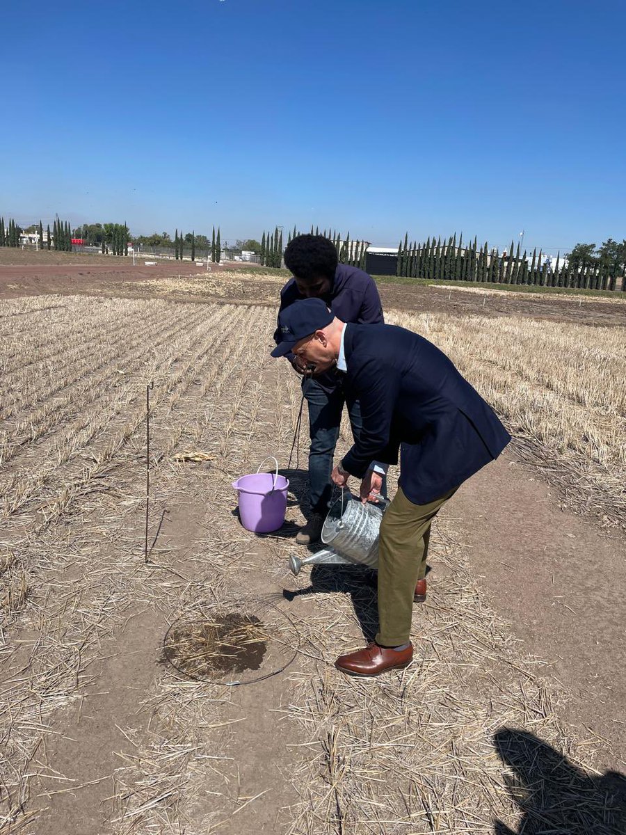 Noruega en MX y CA tweet media