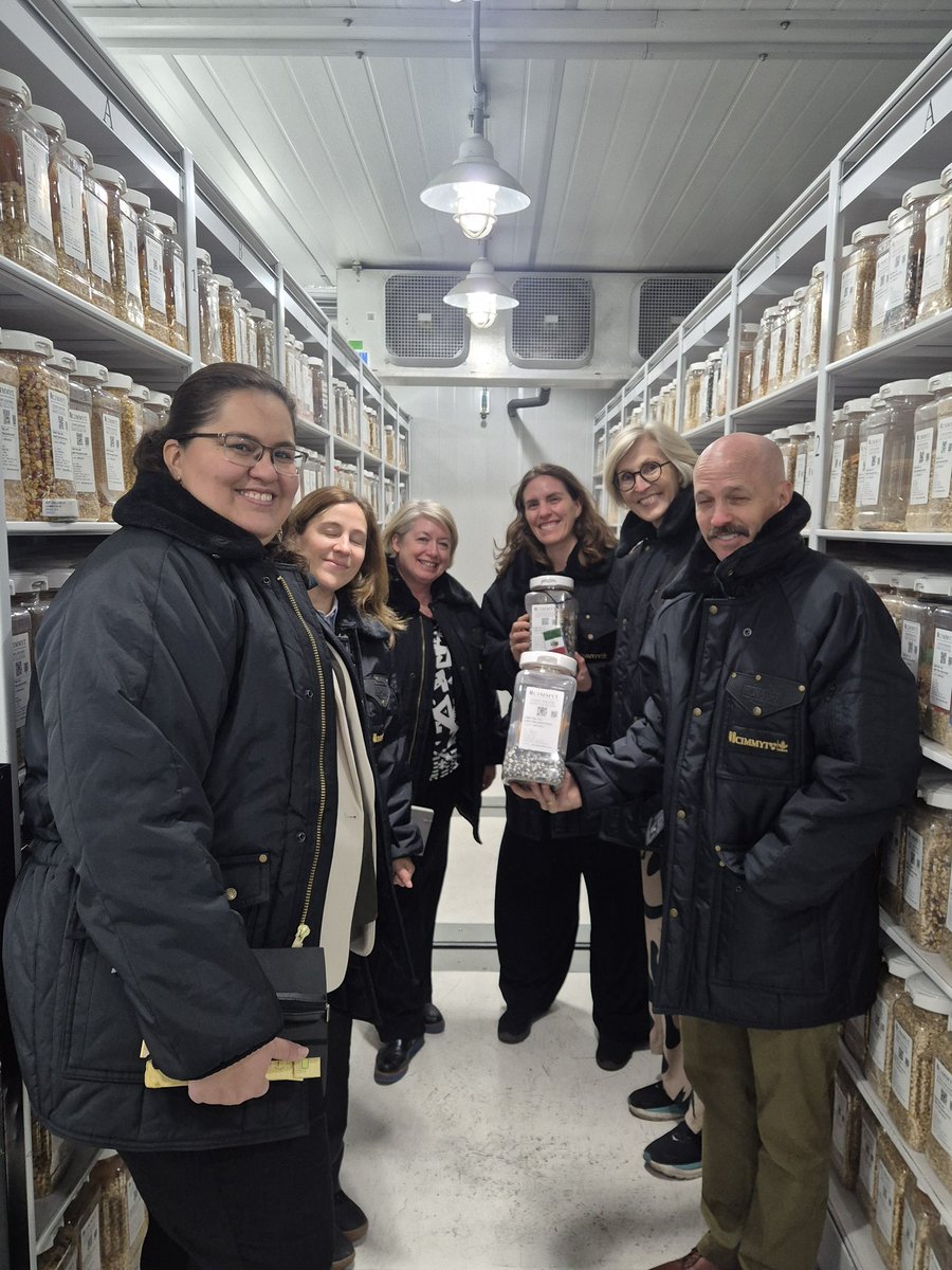 Noruega en MX y CA tweet media