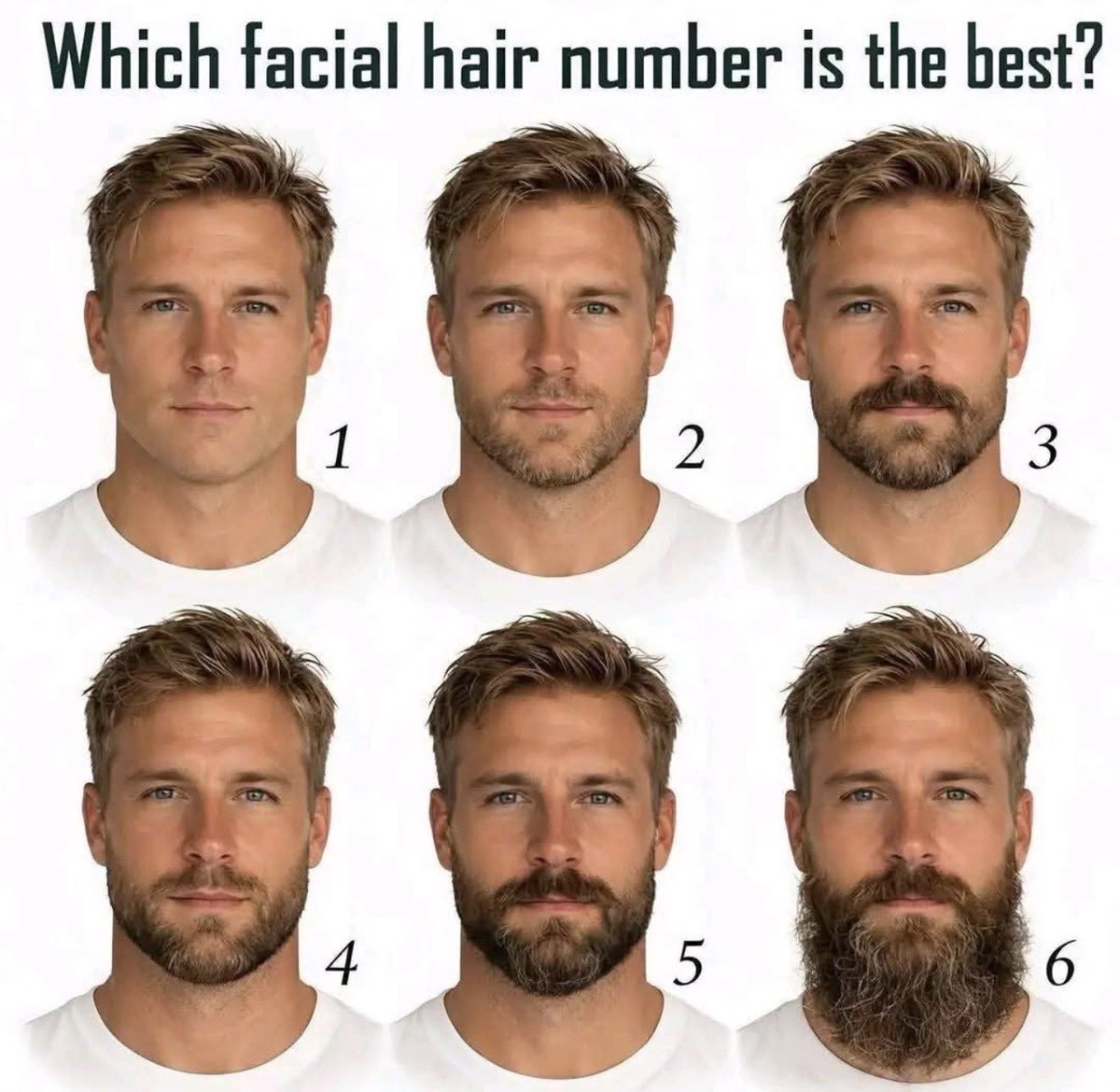 Farisa la Sabia tweet media