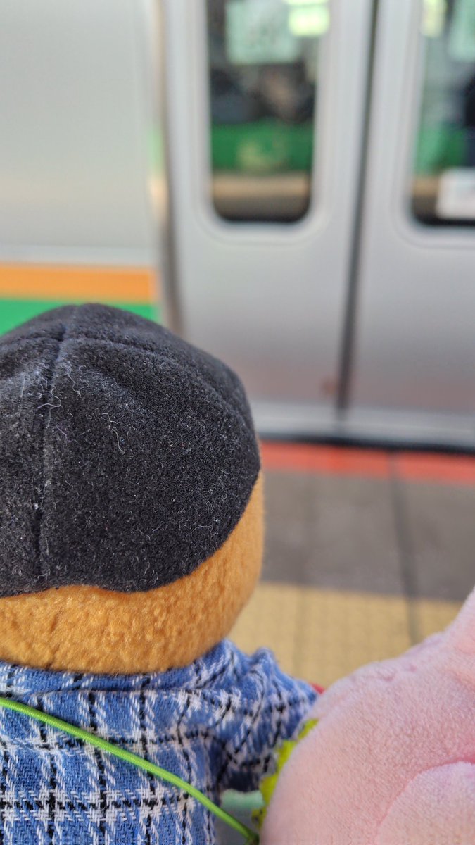 赤いきつねさん🦊🦊🦊 tweet media