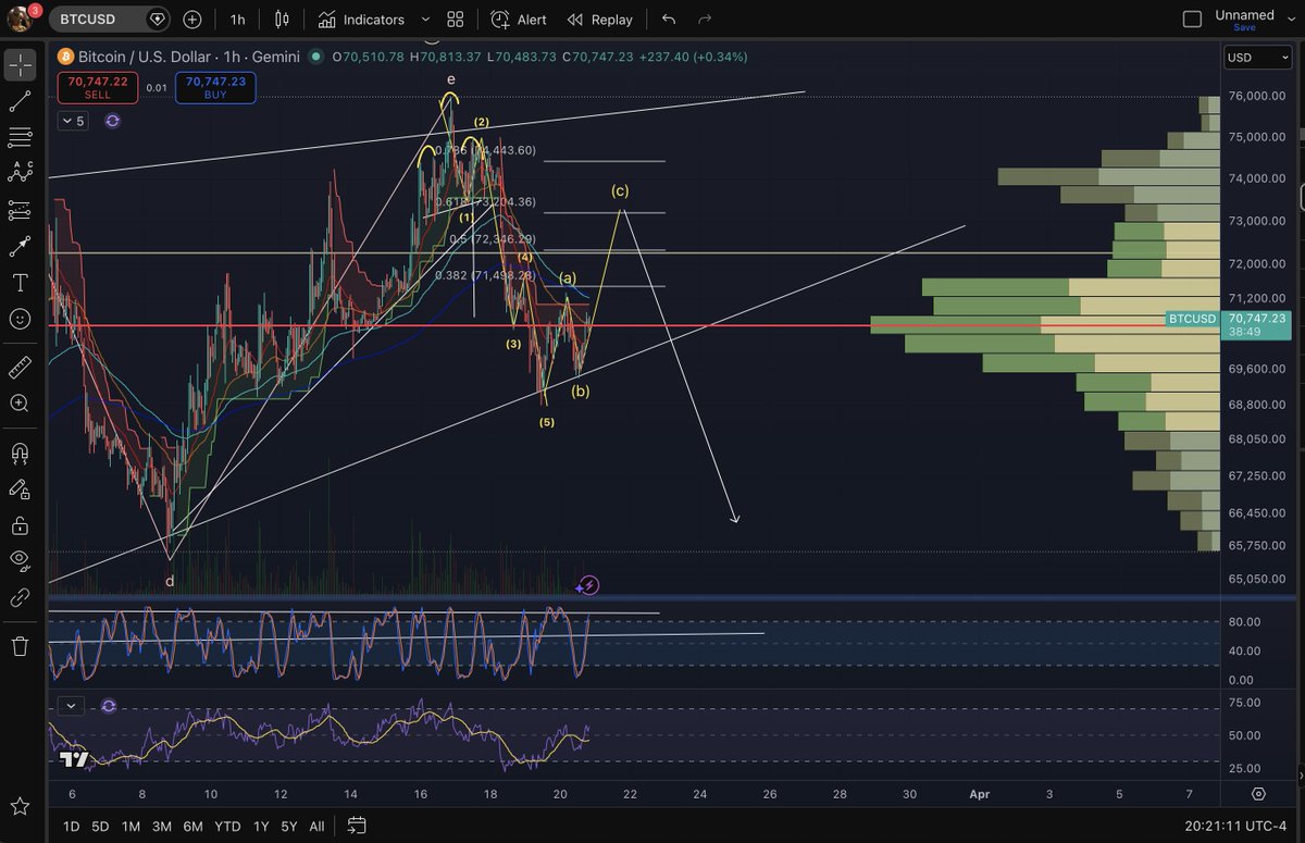 BigBearMike7335 tweet media