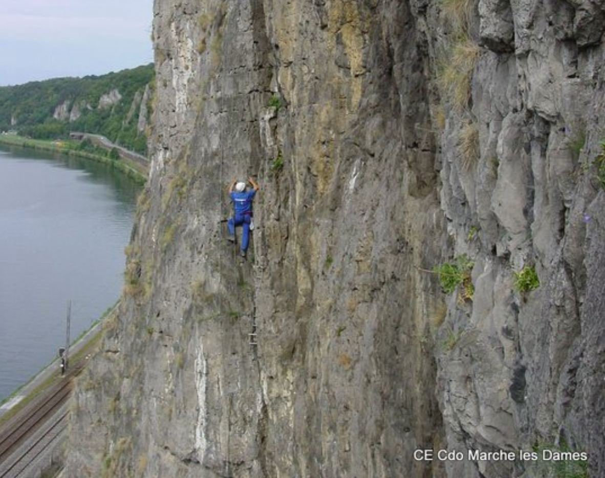 Dries Van Langenhove tweet media
