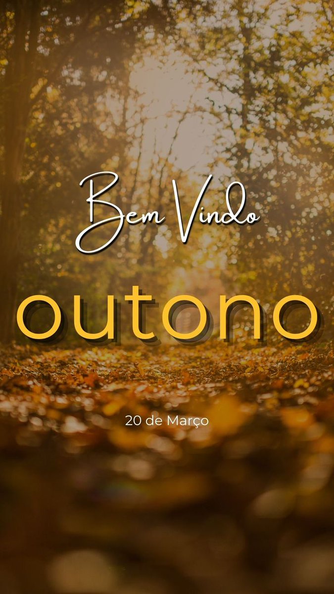 Ana Erlene tweet media