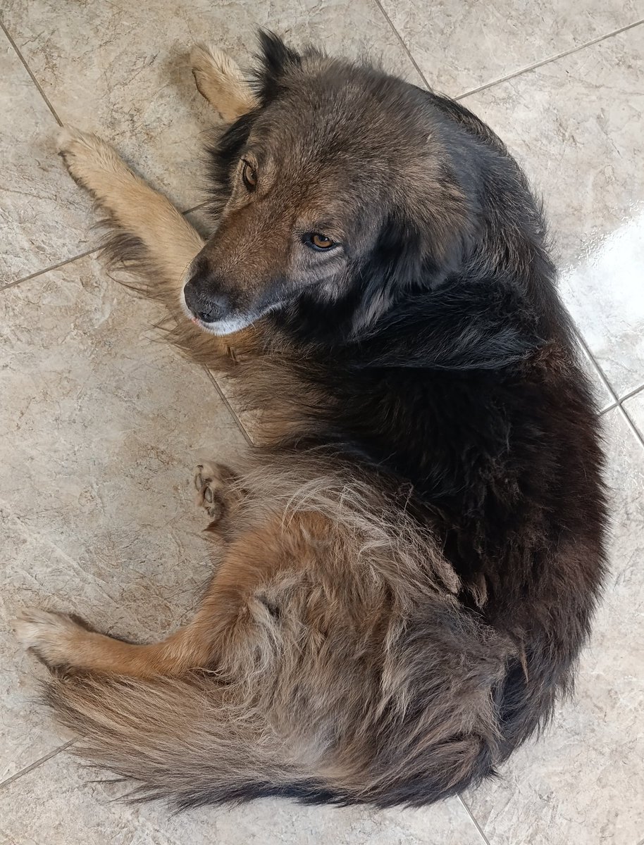 ☆Ginger☆ BUZÓN DE CUMPLEAÑOS 🥳 tweet media