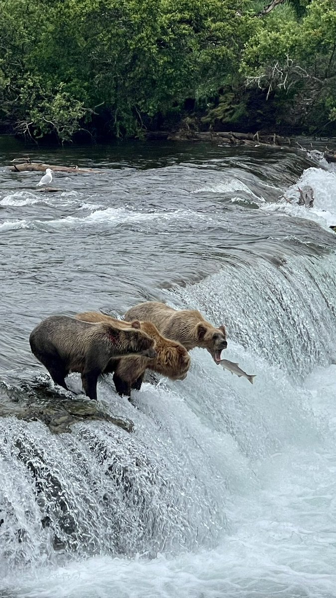 Kenton Stridde tweet media