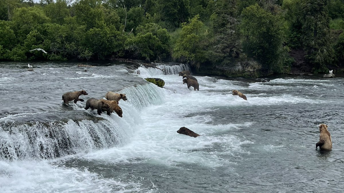 Kenton Stridde tweet media