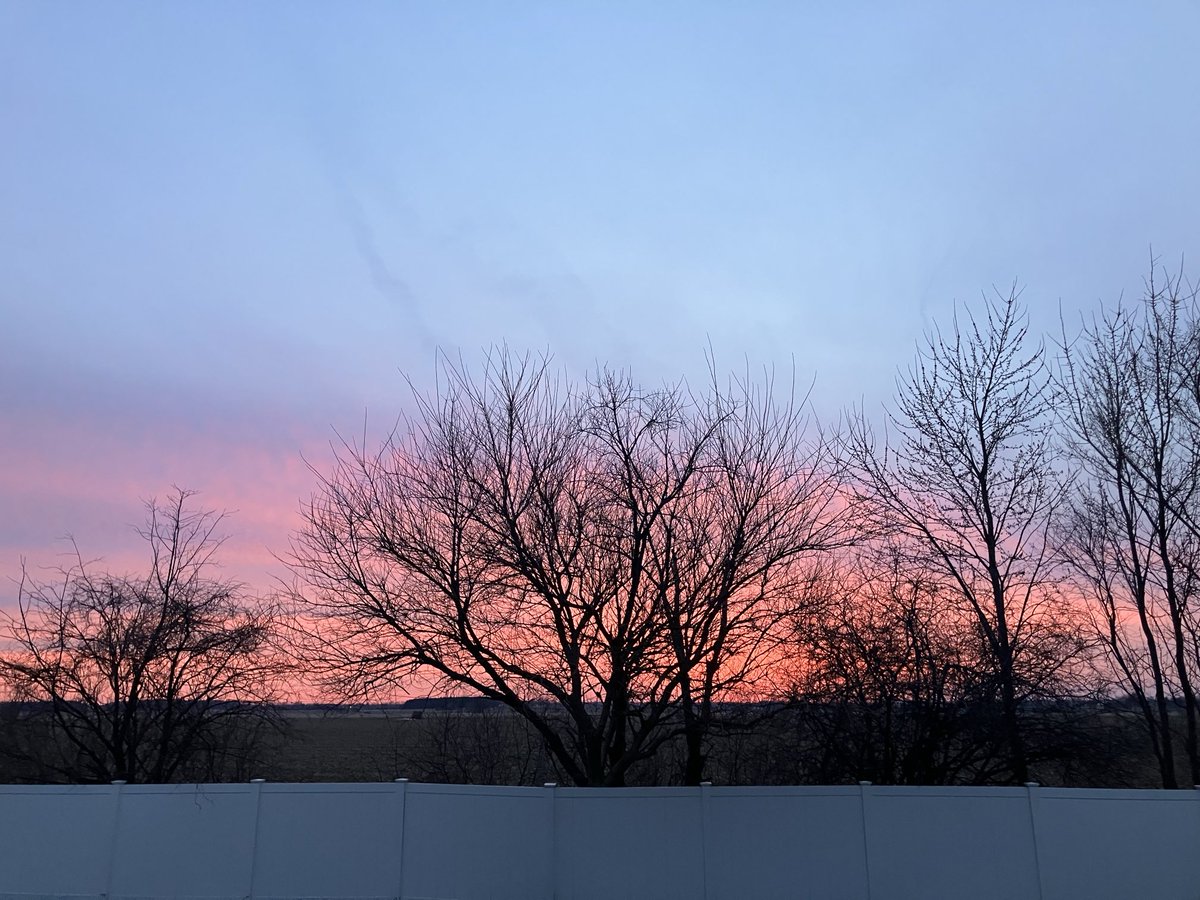 Kathleen Fox Polizzi tweet media