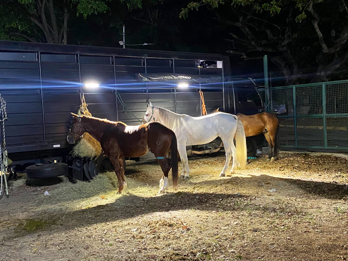 Maria Gabriela Nieves ✨ tweet media