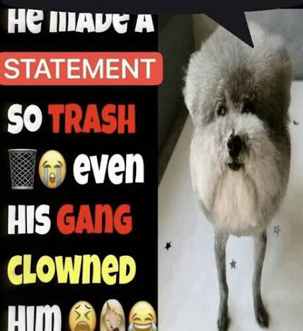 altas_samson tweet media