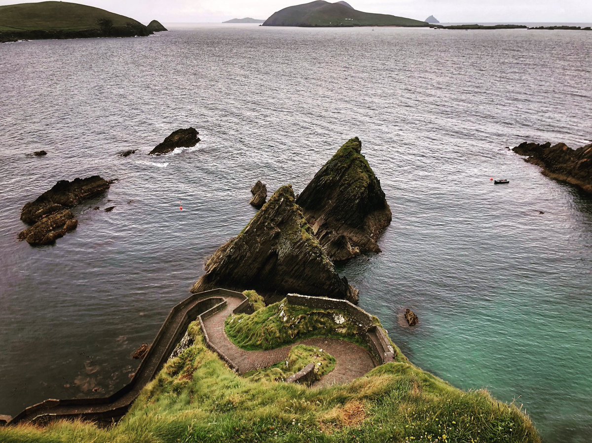 Emily Hills tweet media