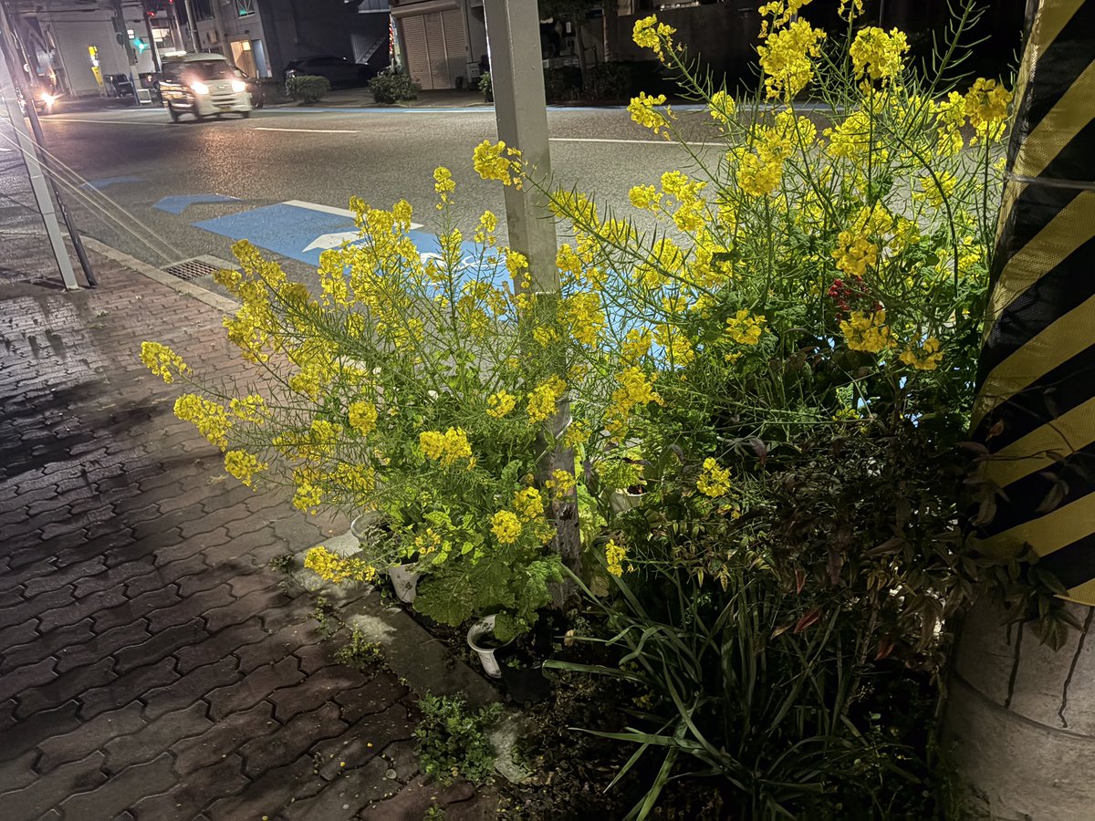 女湯のかたすみで（やすよ） tweet media