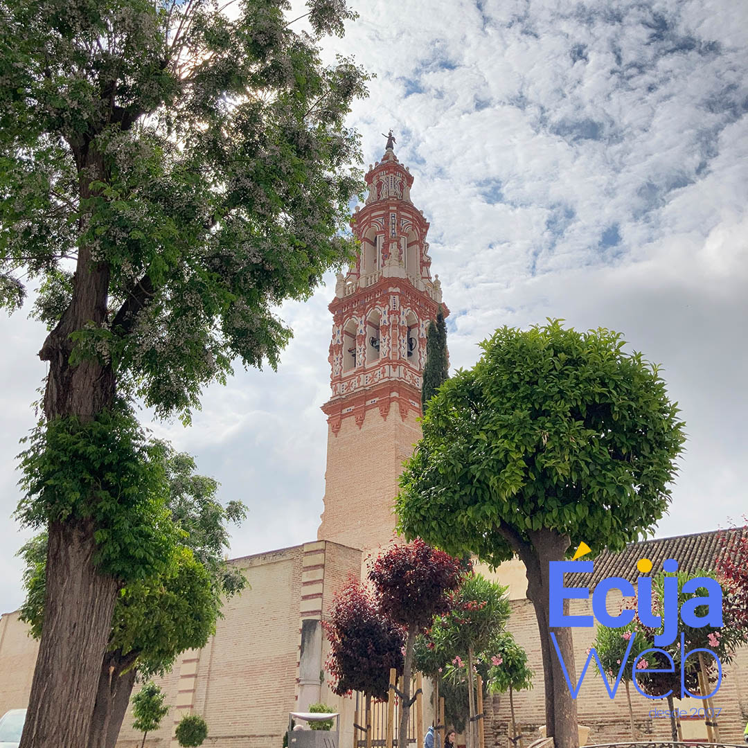 EcijaWeb tweet media