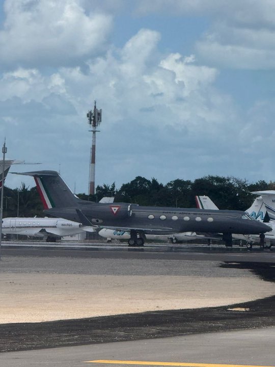 PEDRO FERRIZ tweet media