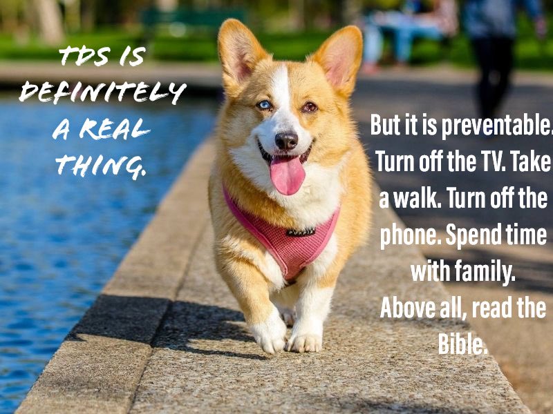 Bill Watkins tweet media