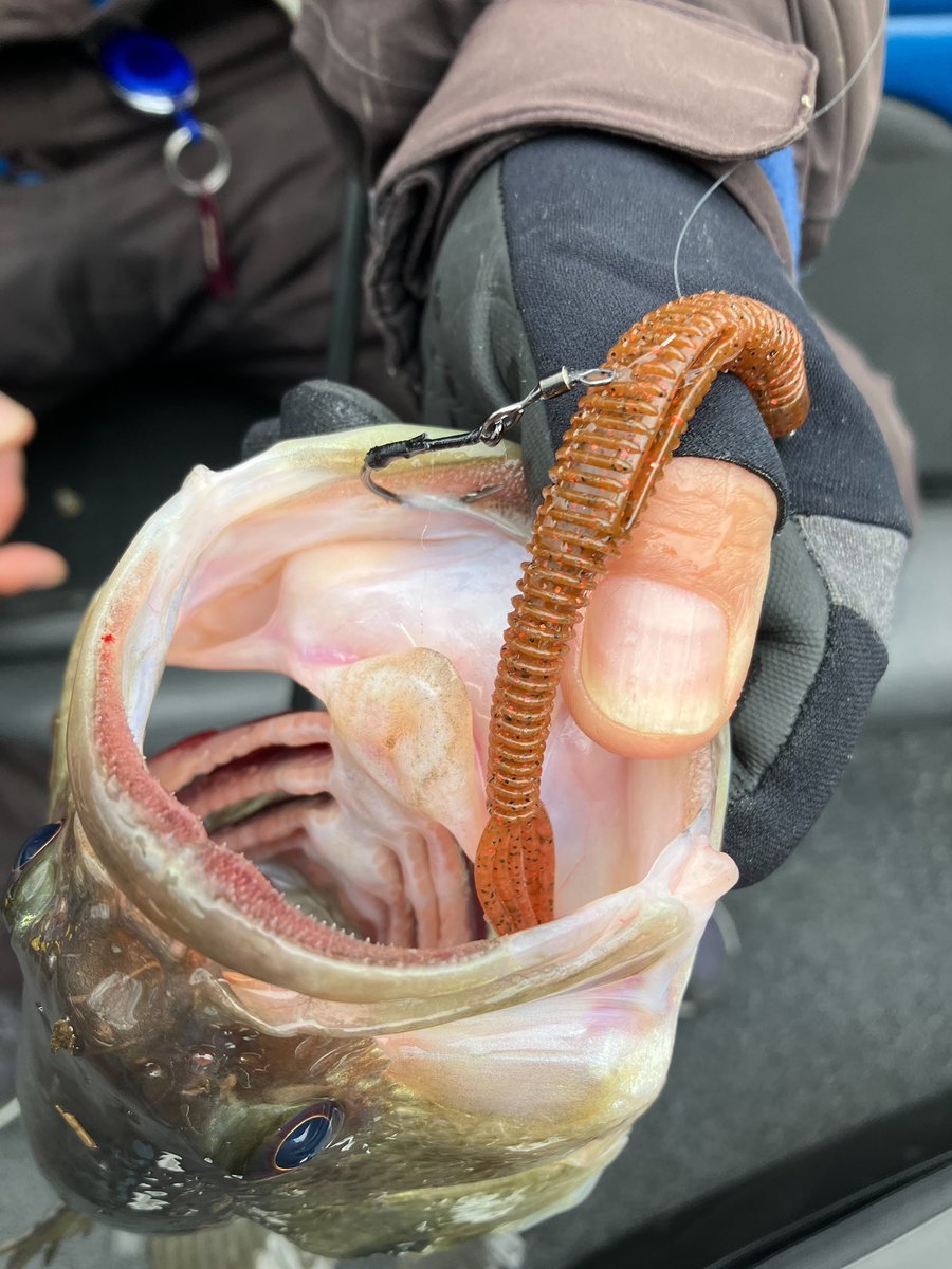 チバラギ最高@FTK032 tweet media