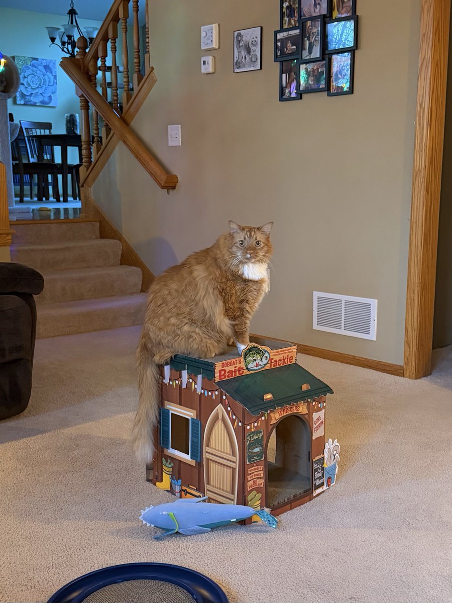 🐛🌷Dean🦋🪴 tweet media