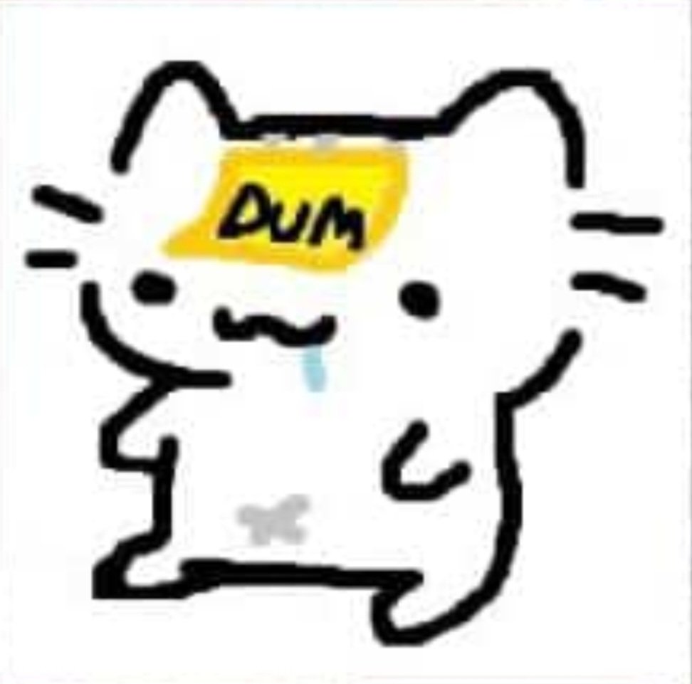 Pan con queso 🍞 🧀 tweet media