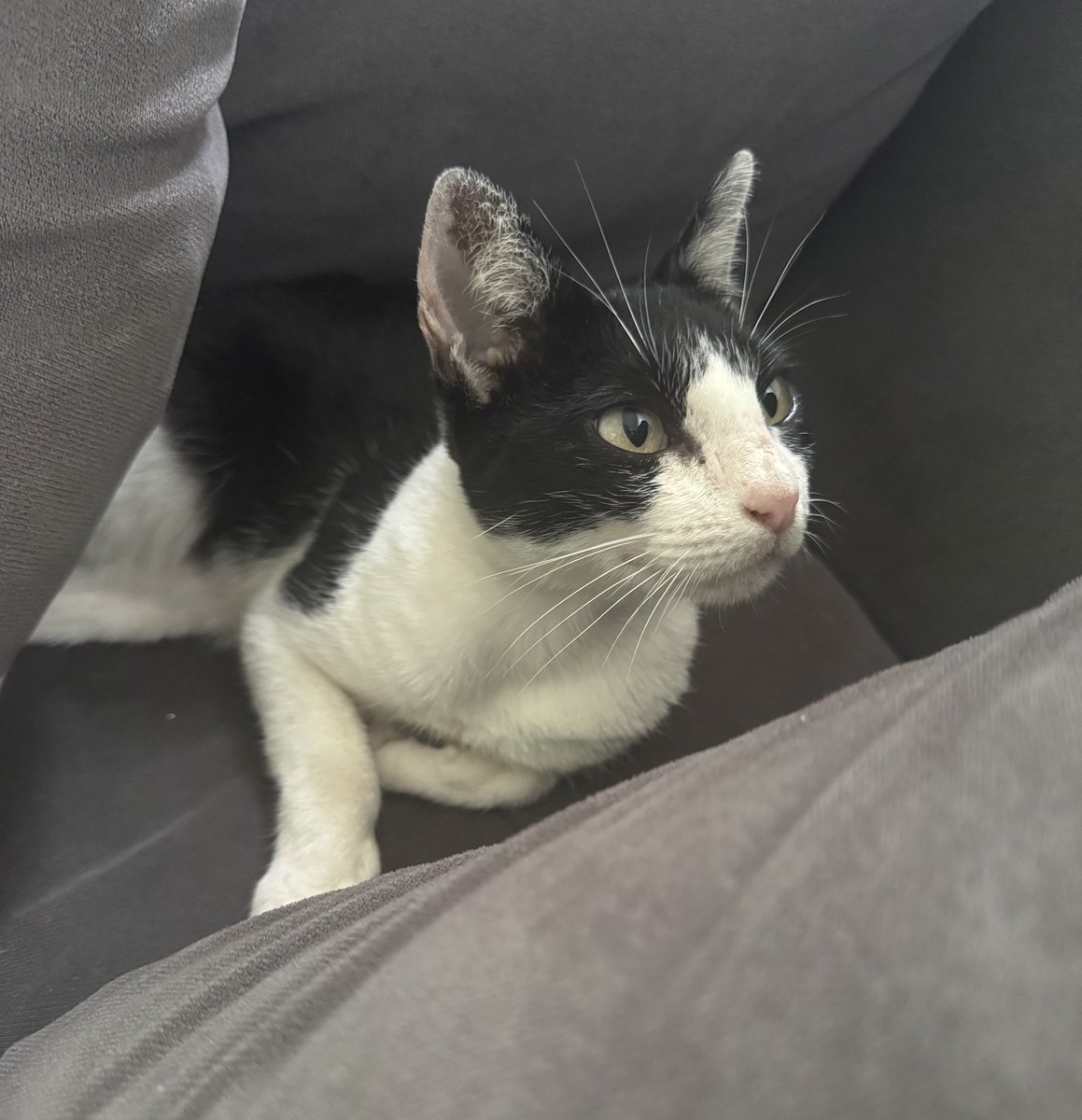 wendy ᢉ𐭩 tweet media