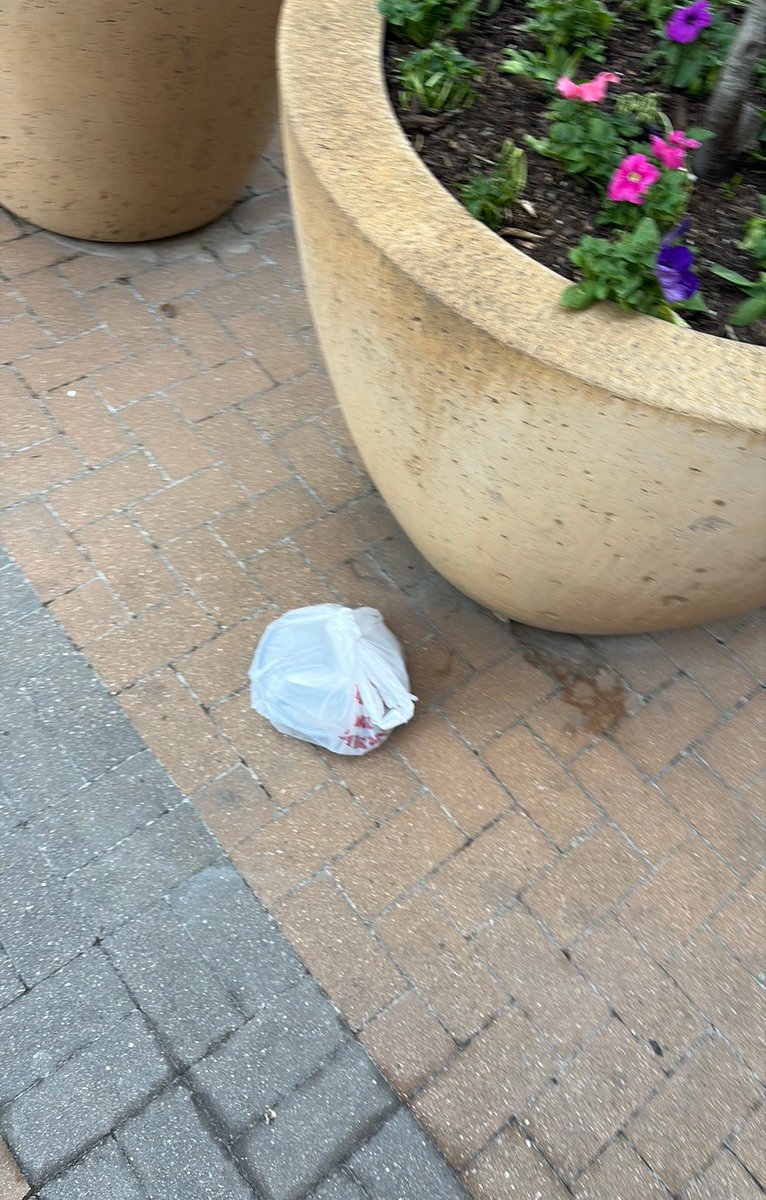 Hilary Brobbey tweet media