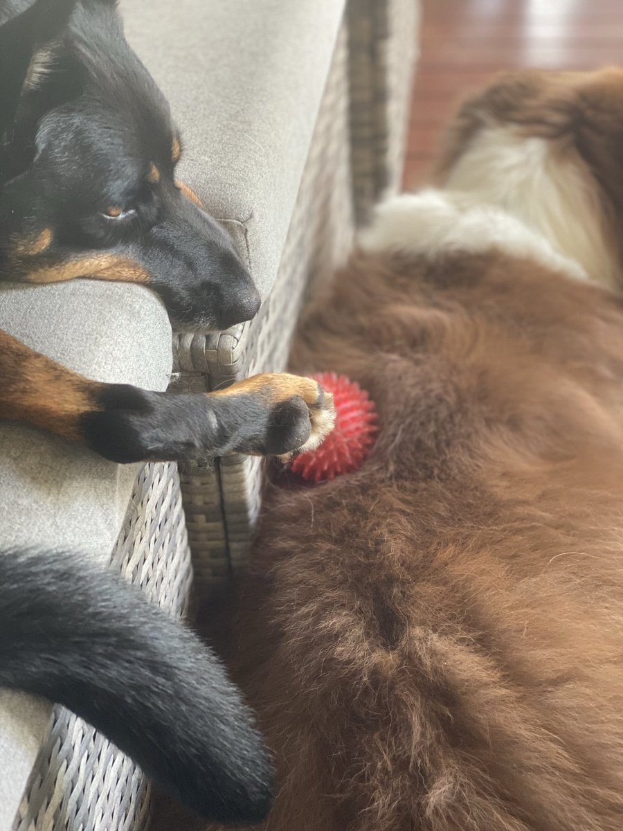 Cimone-Louise tweet media