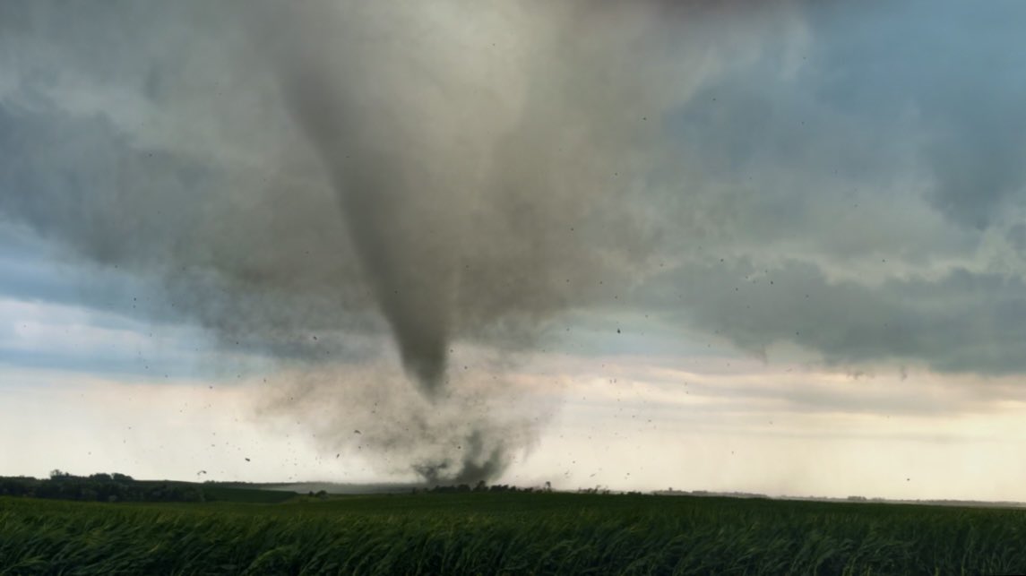 Ben Williams tweet media