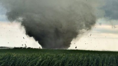 Ben Williams tweet media