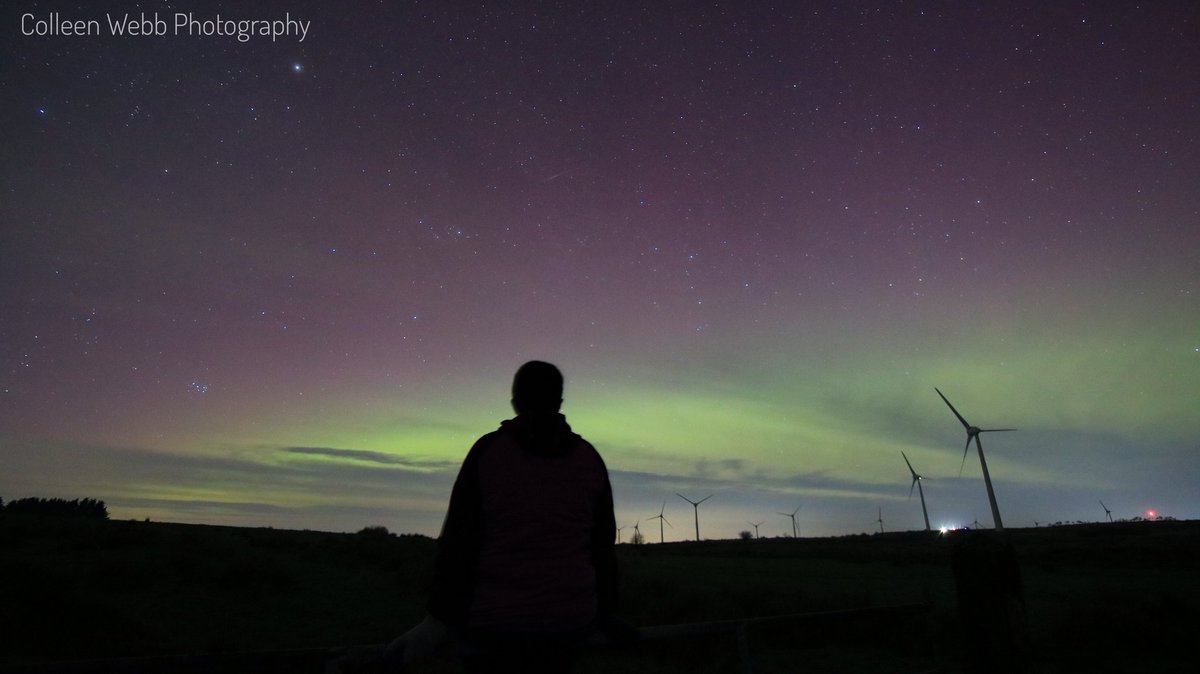 Colleen Webb tweet media