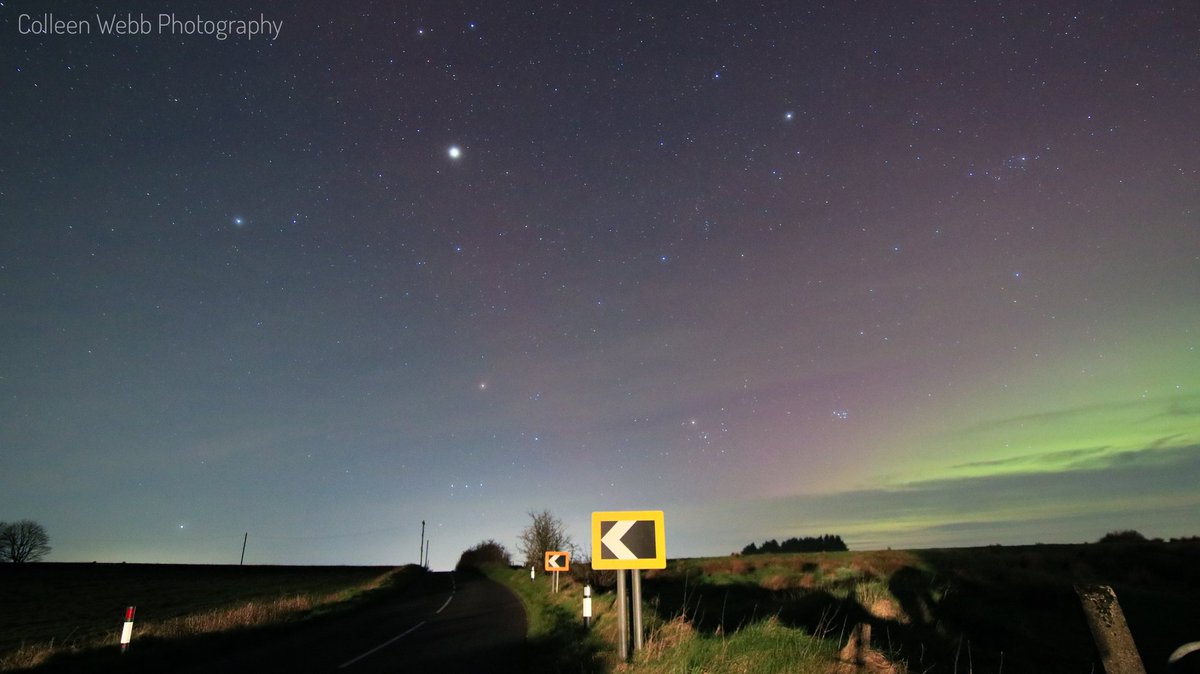 Colleen Webb tweet media