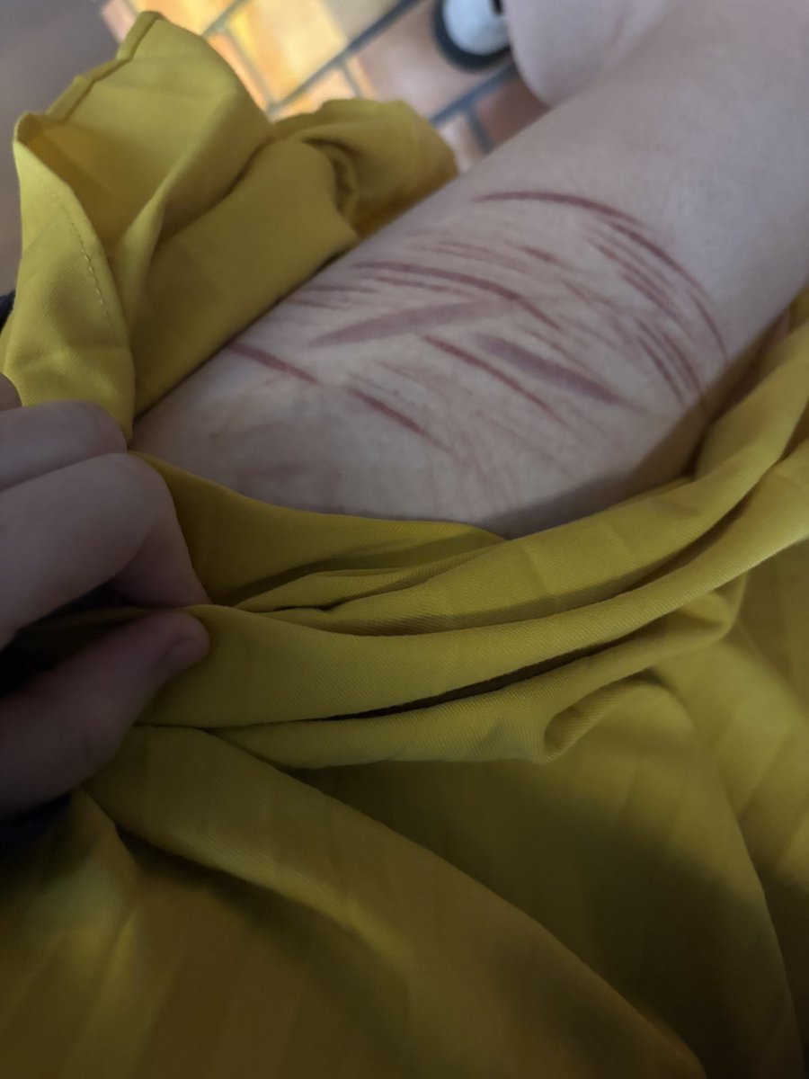 Sans of shedtwt tweet media