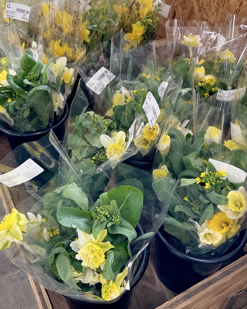 伊達市観光物産館 tweet media