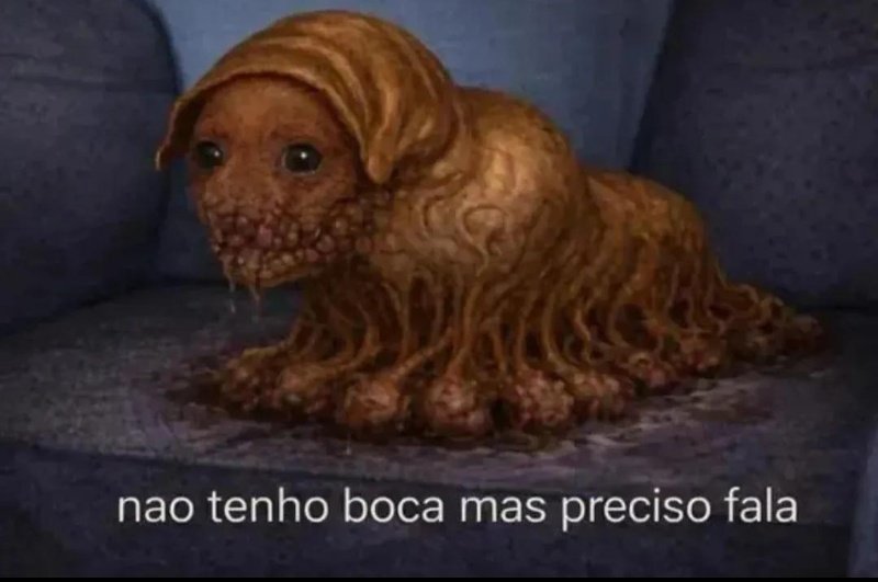 Davyl ☠️ tweet media