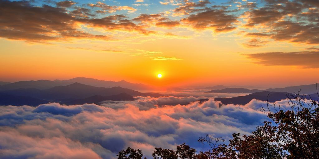 Commodoo tweet media