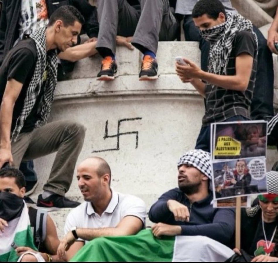 cryptozaurus tweet media