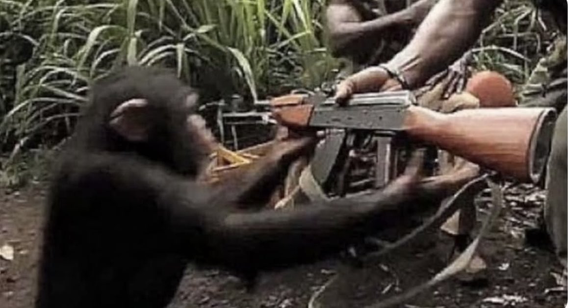 Kuba_Crypto tweet media