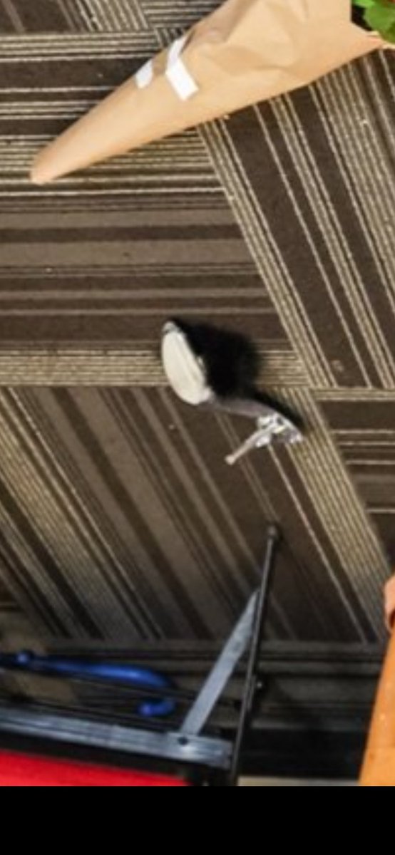 TomGriff1289's tweet photo. @TheDrainmaker The weapon was clearly a heel.
The one on the right is covered in blood and the other on her left is perfectly clean, so that was clearly the weapon of choice. https://t.co/YXa7i5Q8kA